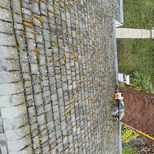 Moss-Removal-Roof-Wash-in-Pullman 4